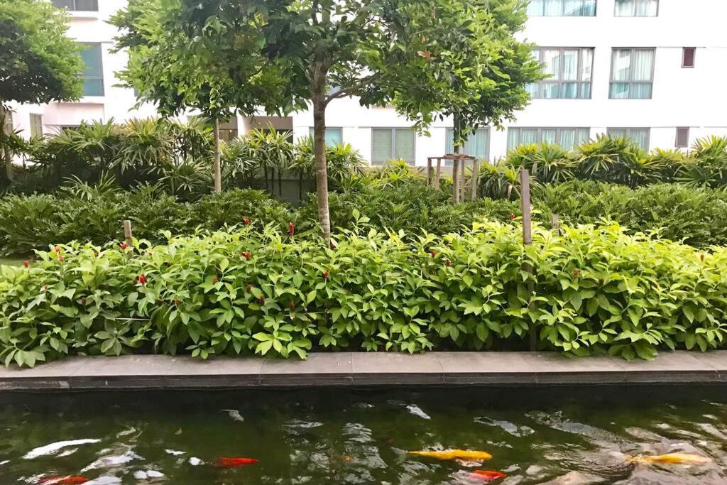 Condo in IMAGO MALL 亚庇最大商场IMago楼里公寓 코타키나발루에서가장큰쇼핑센터아파트 외부 사진